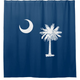 Dynamic South Carolina State Flag Graphic on a