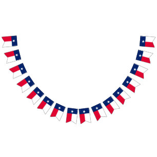 Dynamic Texas State Flag Graphic on a