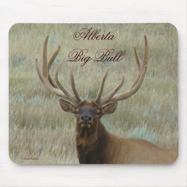 E10 Bull Elk in Velvet Head Mouse Pad (Front)
