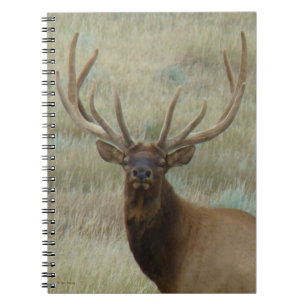 E10 Bull Elk in Velvet Head Shot Notebook