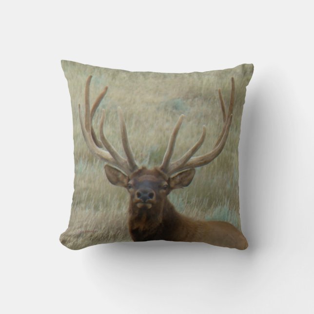E10 Bull Elk in Velvet Head Throw Pillow (Front)