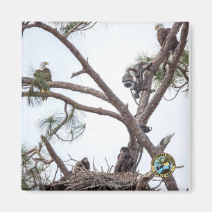 E10 ET E11 + Aimant de famille