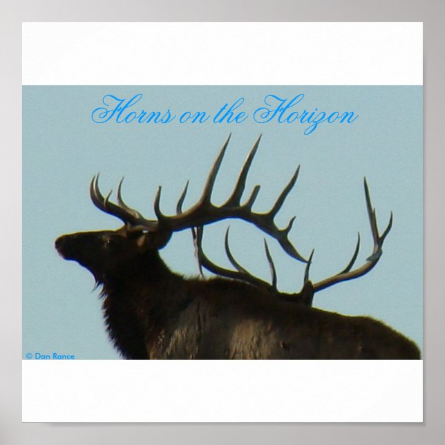 E11 Bull Elk Silhouette Head Shot Poster (Front)