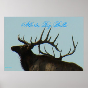 E11 Bull Elk Silhouette Horns on the Horizon Poster