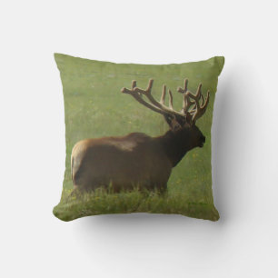 E12 Bull Elk in Velvet 1 Bull or 2? Throw Pillow