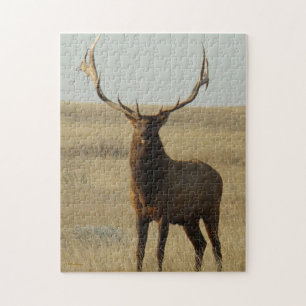 E13 Bull Elk Grass in Horns Jigsaw Puzzle