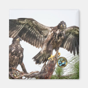 E15 E16 Magnet commémoratif