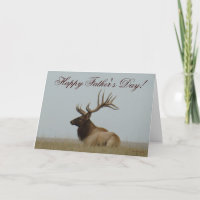 E15a Bull Elk Herd Master