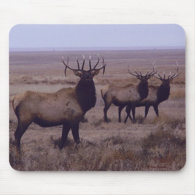 E19 Bull Elk Double Drop Tines Mouse Pad (Front)