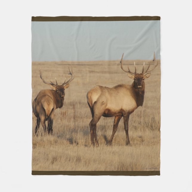 E1 Bull Elk Fleece Blanket (Front)
