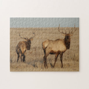 E1 Bull Elk Jigsaw Puzzle