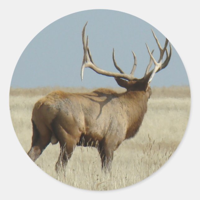 E20 Bull Elk Challenger Classic Round Sticker (Front)