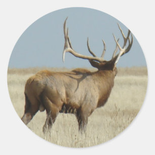 E20 Bull Elk Challenger Classic Round Sticker