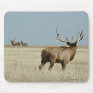 E20 Bull Elk Challenger Mouse Pad