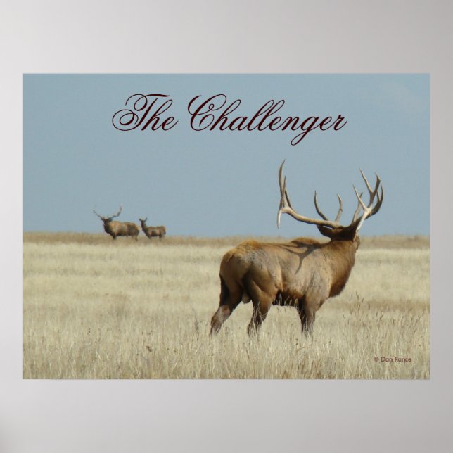 E20 Bull Elk Challenger Poster (Front)