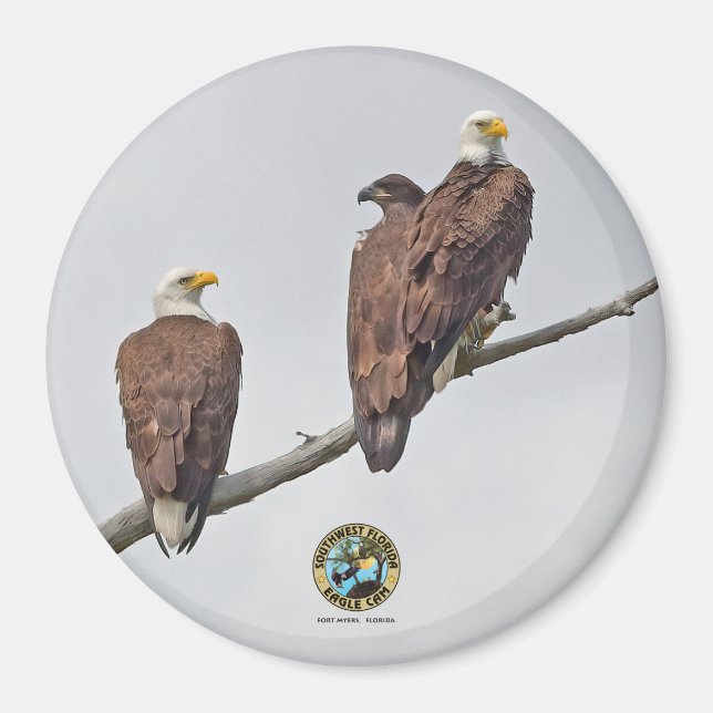 E23 & Family- M15, F23 & First Eaglet Magnet (Front)