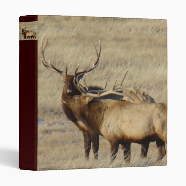E24 Bull Elk Binder (Front/Spine)