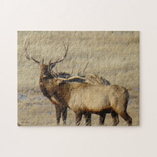 E24 Bull Elk Jigsaw Puzzle