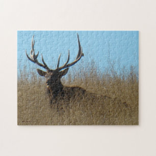 E26 Bull Elk in the Weeds Jigsaw Puzzle