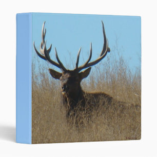 E26 Bull Elk Laying in the Weeds Binder