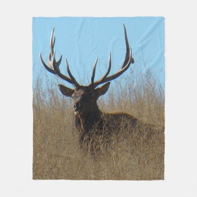 E26 Bull Elk Laying in the Weeds Fleece Blanket (Front)