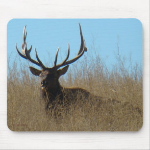 E26 Bull Elk Laying in the Weeds Mouse Pad