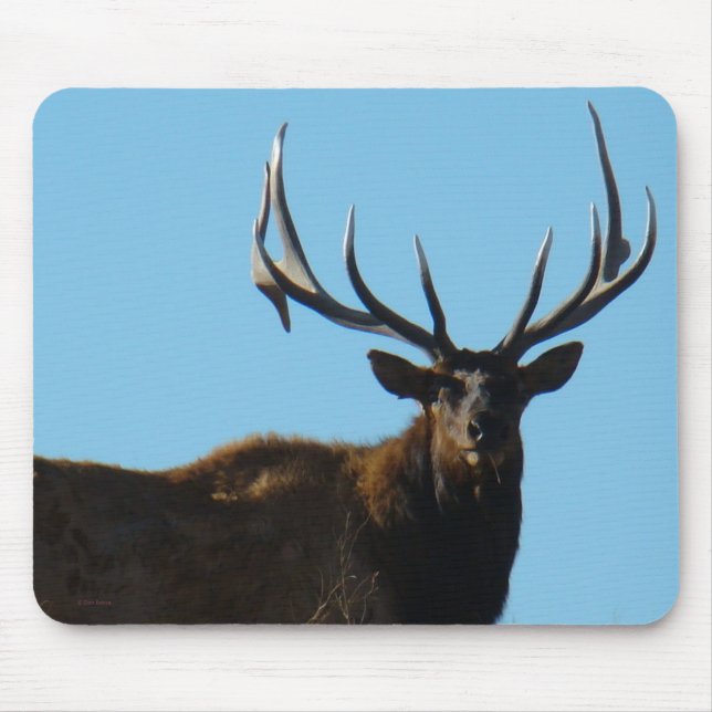 E27 Bull Elk Sky Lined Mouse Pad (Front)