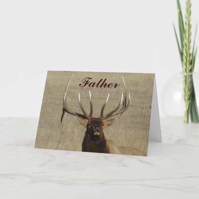 E29 Bull Elk Head Card (Front)