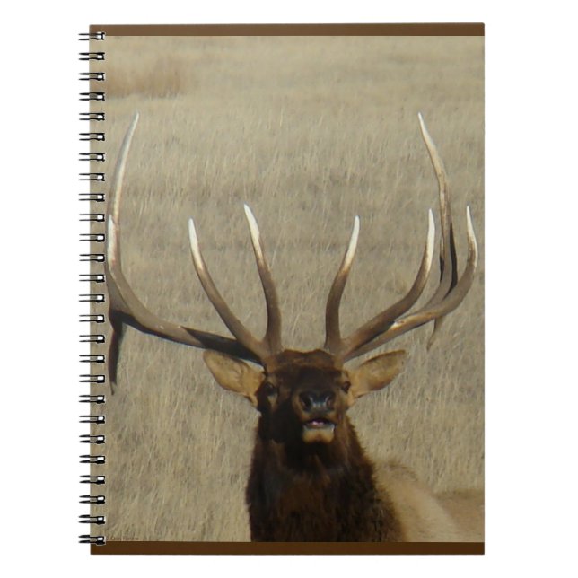 E29 Bull Elk Head Shot Notebook (Front)