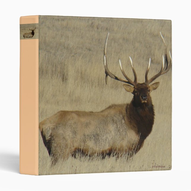 E30 Bull Elk Big Bull Binder (Front/Spine)