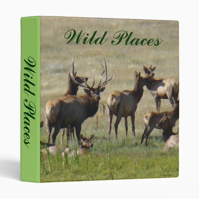 E36 Bull Elk and Cows Binder (Front/Spine)