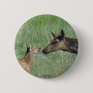 E3 Cow Elk and Calf 2 Inch Round Button