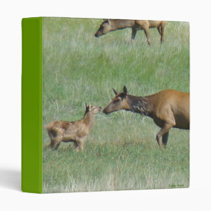 E3 Cow Elk and Calves Binder