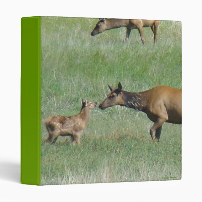 E3 Cow Elk and Calves Binder (Front/Spine)