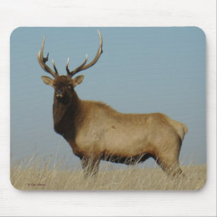 E43 Bull Elk Mouse Pad