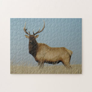 E43 Bull Elk Sky Lined Jigsaw Puzzle