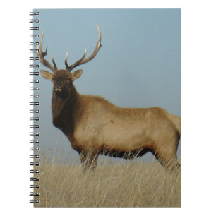 E43 Bull Elk Sky Lined Notebook