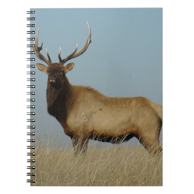 E43 Bull Elk Sky Lined Notebook (Front)