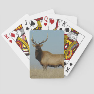 E43 Bull Elk Sky Lined Playing Cards