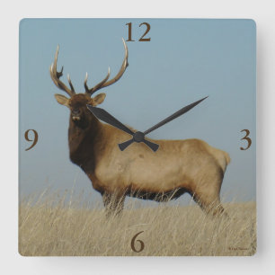 E43 Bull Elk Sky Lined Square Wall Clock