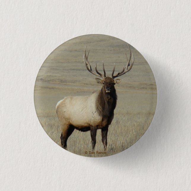 E46 Bull Elk Big Bull 1 Inch Round Button (Front)
