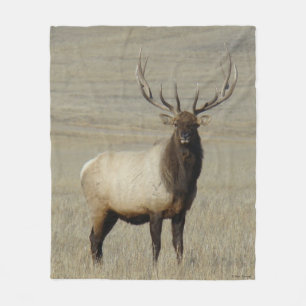 E46 Bull Elk Big Bull Fleece Blanket