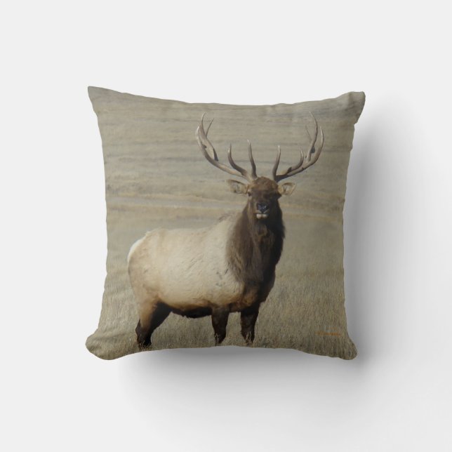 E46 Bull Elk Big Bull Throw Pillow (Front)