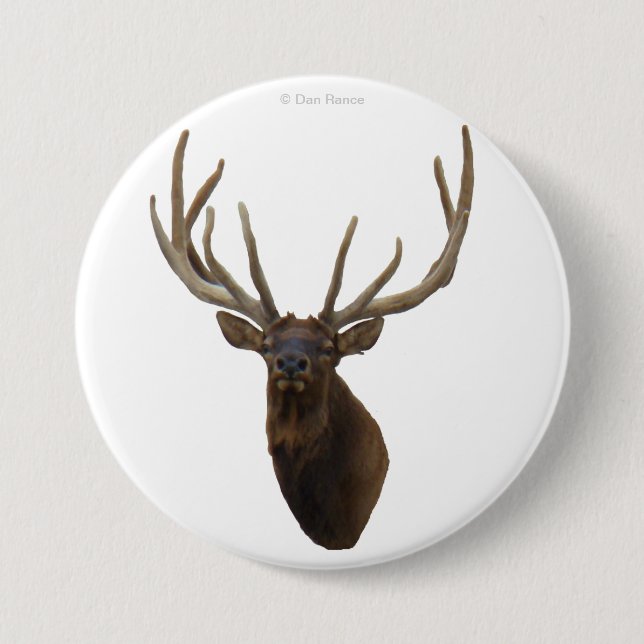 E48 Bull Elk Head in Velvet 3 Inch Round Button (Front)