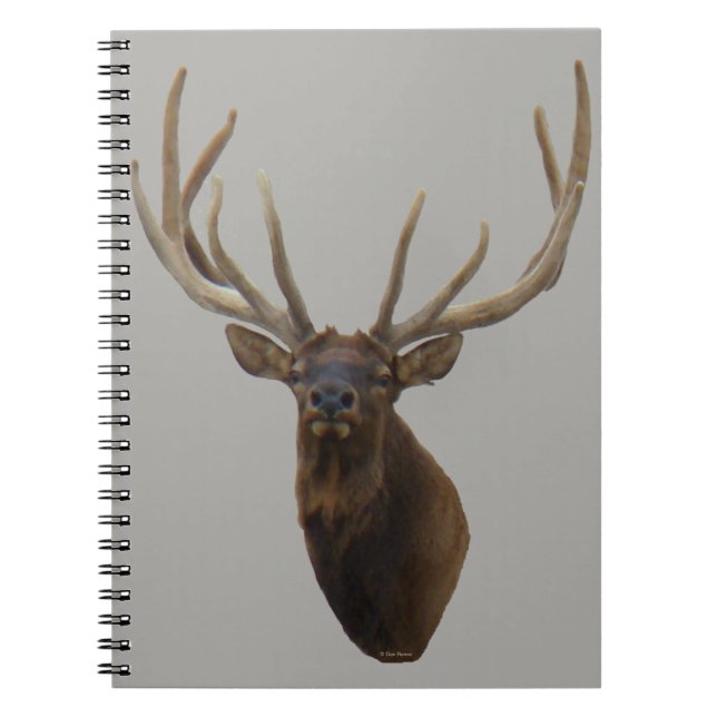 E48 Bull Elk Head in Velvet Notebook (Front)