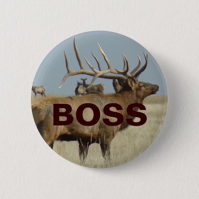 E4 Bull Elk 2 Inch Round Button (Front)