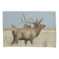 E4 Bull Elk Herd Master