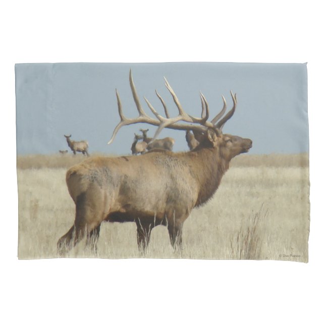 E4 Bull Elk Herd Master Pillowcase (Front)
