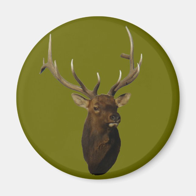 E51 Bull Elk Head Magnet (Front)