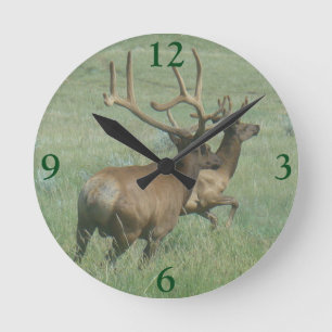 E56 Bull Elk in Velvet Round Clock